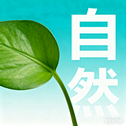 广告修辞的四条艺术原则